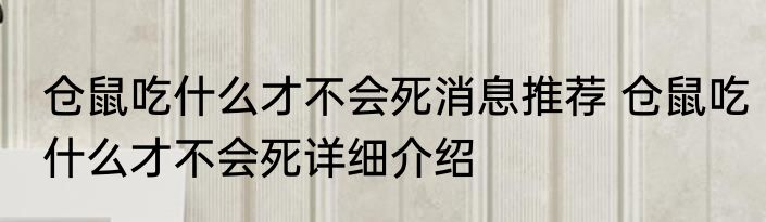 仓鼠吃什么才不会死消息推荐 仓鼠吃什么才不会死详细介绍