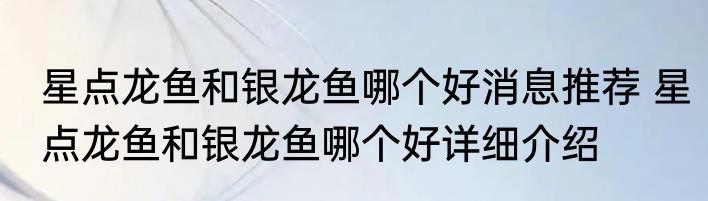 星点龙鱼和银龙鱼哪个好消息推荐 星点龙鱼和银龙鱼哪个好详细介绍