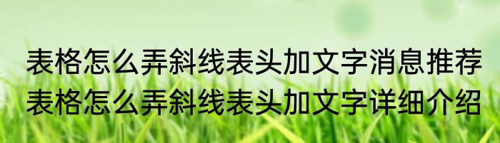 表格怎么弄斜线表头加文字消息推荐 表格怎么弄斜线表头加文字详细介绍