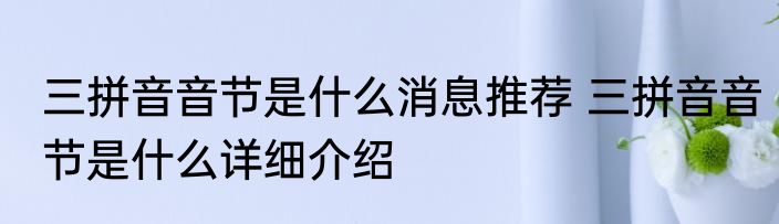 三拼音音节是什么消息推荐 三拼音音节是什么详细介绍