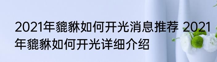 2021年貔貅如何开光消息推荐 2021年貔貅如何开光详细介绍