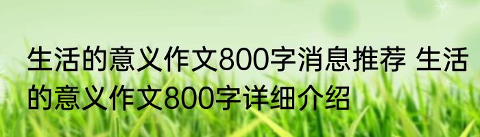 生活的意义作文800字消息推荐 生活的意义作文800字详细介绍