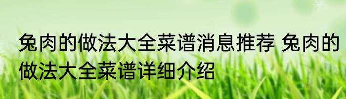 兔肉的做法大全菜谱消息推荐 兔肉的做法大全菜谱详细介绍