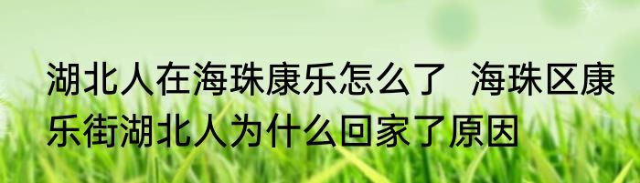 湖北人在海珠康乐怎么了  海珠区康乐街湖北人为什么回家了原因