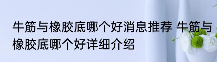 牛筋与橡胶底哪个好消息推荐 牛筋与橡胶底哪个好详细介绍