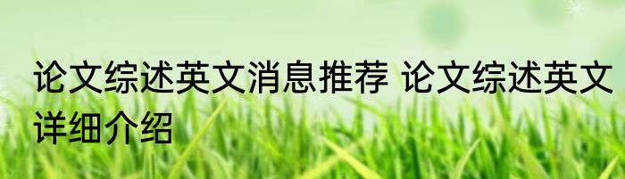 论文综述英文消息推荐 论文综述英文详细介绍