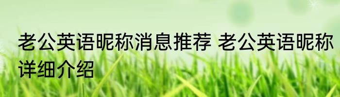 老公英语昵称消息推荐 老公英语昵称详细介绍