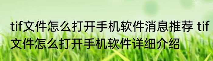 tif文件怎么打开手机软件消息推荐 tif文件怎么打开手机软件详细介绍
