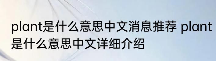 plant是什么意思中文消息推荐 plant是什么意思中文详细介绍