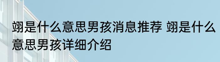 翊是什么意思男孩消息推荐 翊是什么意思男孩详细介绍