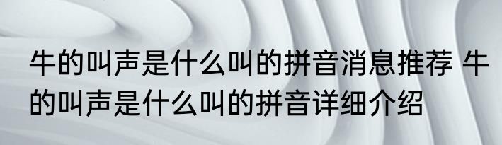 牛的叫声是什么叫的拼音消息推荐 牛的叫声是什么叫的拼音详细介绍