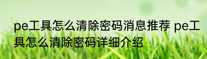pe工具怎么清除密码消息推荐 pe工具怎么清除密码详细介绍