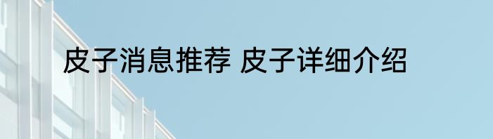 皮子消息推荐 皮子详细介绍