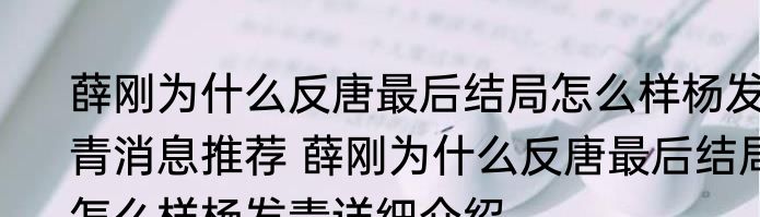 薛刚为什么反唐最后结局怎么样杨发青消息推荐 薛刚为什么反唐最后结局怎么样杨发青详细介绍