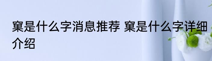 窠是什么字消息推荐 窠是什么字详细介绍