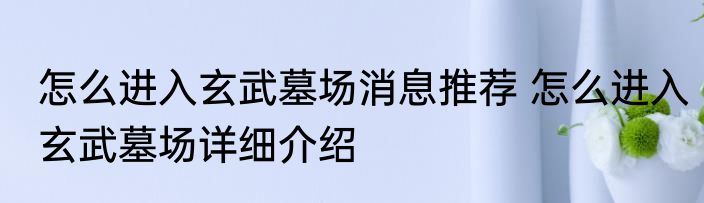 怎么进入玄武墓场消息推荐 怎么进入玄武墓场详细介绍