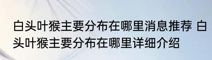 白头叶猴主要分布在哪里消息推荐 白头叶猴主要分布在哪里详细介绍