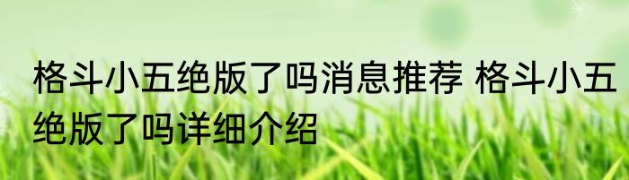 格斗小五绝版了吗消息推荐 格斗小五绝版了吗详细介绍