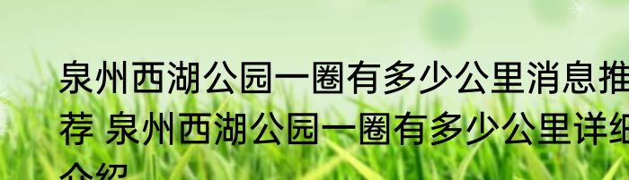 热血江湖枪客气功加点怎么加消息推荐 热血江湖枪客气功加点怎么加详细介绍