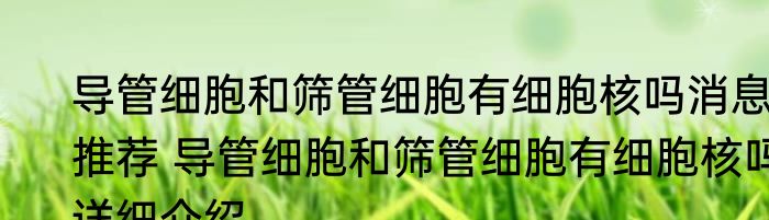 导管细胞和筛管细胞有细胞核吗消息推荐 导管细胞和筛管细胞有细胞核吗详细介绍