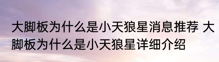 大脚板为什么是小天狼星消息推荐 大脚板为什么是小天狼星详细介绍