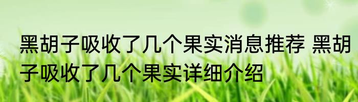 黑胡子吸收了几个果实消息推荐 黑胡子吸收了几个果实详细介绍