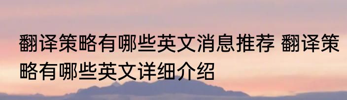翻译策略有哪些英文消息推荐 翻译策略有哪些英文详细介绍