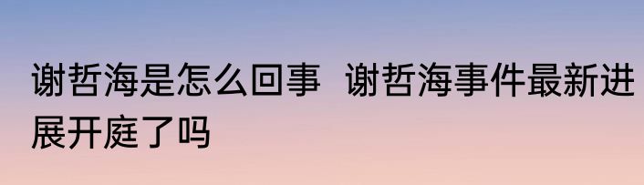 谢哲海是怎么回事  谢哲海事件最新进展开庭了吗 
