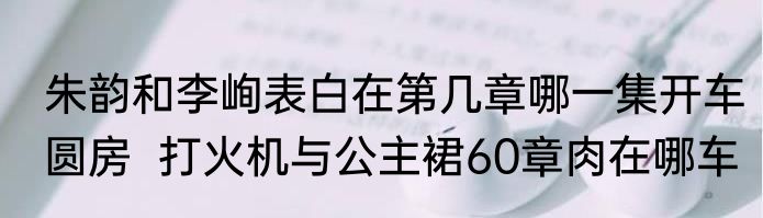 朱韵和李峋表白在第几章哪一集开车圆房  打火机与公主裙60章肉在哪车