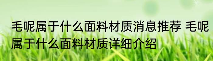 毛呢属于什么面料材质消息推荐 毛呢属于什么面料材质详细介绍