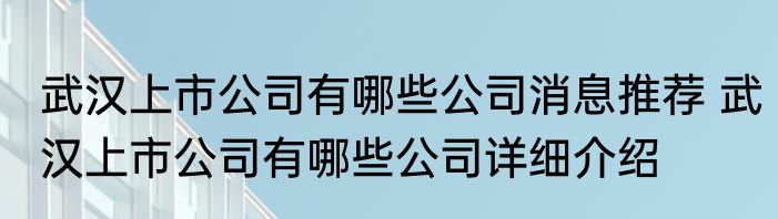 武汉上市公司有哪些公司消息推荐 武汉上市公司有哪些公司详细介绍