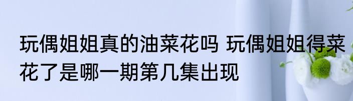 玩偶姐姐真的油菜花吗 玩偶姐姐得菜花了是哪一期第几集出现