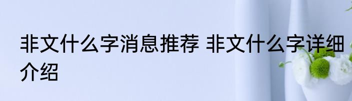 非文什么字消息推荐 非文什么字详细介绍