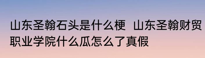 山东圣翰石头是什么梗  山东圣翰财贸职业学院什么瓜怎么了真假