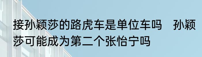 接孙颖莎的路虎车是单位车吗   孙颖莎可能成为第二个张怡宁吗