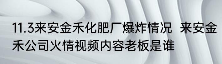 11.3来安金禾化肥厂爆炸情况  来安金禾公司火情视频内容老板是谁