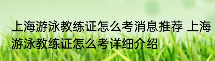上海游泳教练证怎么考消息推荐 上海游泳教练证怎么考详细介绍
