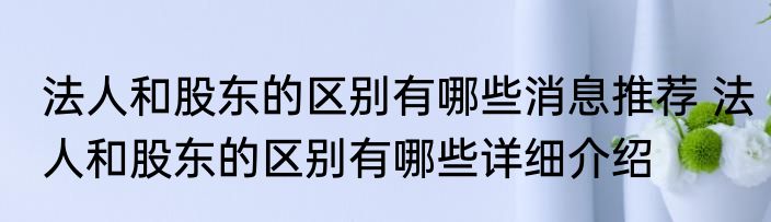 法人和股东的区别有哪些消息推荐 法人和股东的区别有哪些详细介绍