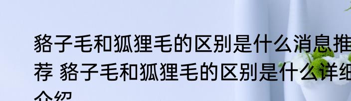 貉子毛和狐狸毛的区别是什么消息推荐 貉子毛和狐狸毛的区别是什么详细介绍
