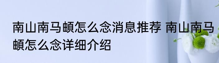 南山南马頔怎么念消息推荐 南山南马頔怎么念详细介绍