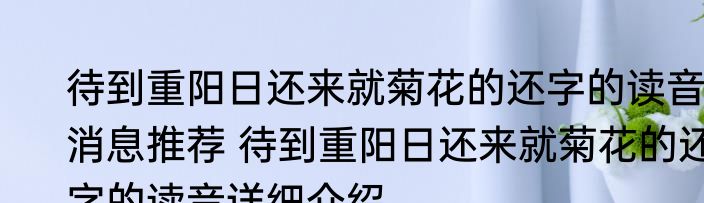 待到重阳日还来就菊花的还字的读音消息推荐 待到重阳日还来就菊花的还字的读音详细介绍