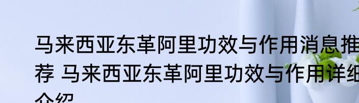 马来西亚东革阿里功效与作用消息推荐 马来西亚东革阿里功效与作用详细介绍