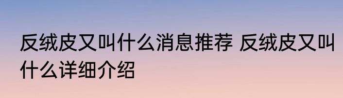 反绒皮又叫什么消息推荐 反绒皮又叫什么详细介绍
