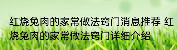 红烧兔肉的家常做法窍门消息推荐 红烧兔肉的家常做法窍门详细介绍