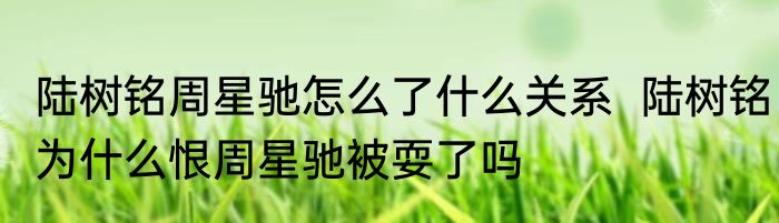 陆树铭周星驰怎么了什么关系  陆树铭为什么恨周星驰被耍了吗