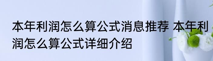 本年利润怎么算公式消息推荐 本年利润怎么算公式详细介绍
