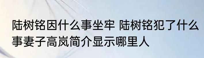 陆树铭因什么事坐牢 陆树铭犯了什么事妻子高岚简介显示哪里人