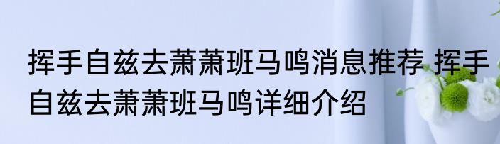 挥手自兹去萧萧班马鸣消息推荐 挥手自兹去萧萧班马鸣详细介绍