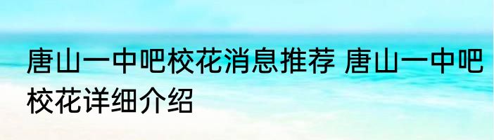 唐山一中吧校花消息推荐 唐山一中吧校花详细介绍