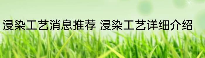 浸染工艺消息推荐 浸染工艺详细介绍